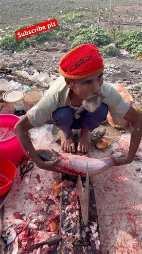 Amezig village Fresh pangash fish cutting skills ✅🐬✅ #shorts