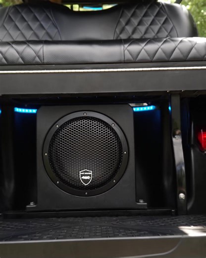 AS Series: Subwoofers for Easy Bass Installation