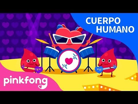 Corazón | Cuerpo Humano | Pinkfong Canciones Infantiles