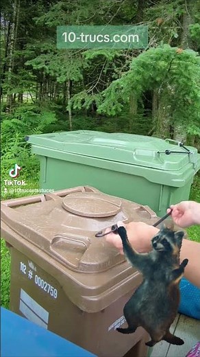 Truc pour empêcher les ratons laveurs d'ouvrir les poubelles! #10trucs #trucsetastuces