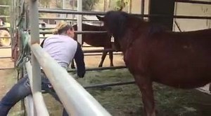 2.7K views · 124 reactions | We have a second neck tag off! Miss Hailey has her own mare from Centennial HMA and immediately this filly took to her and let her get the tag off... introducing: (Watch video for her name!) | Hunter Horsemanship | Facebook