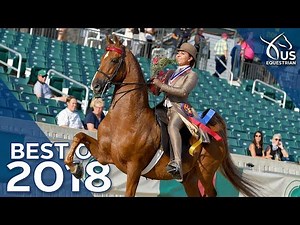 Best of 2018: Saddle Seat World Cup