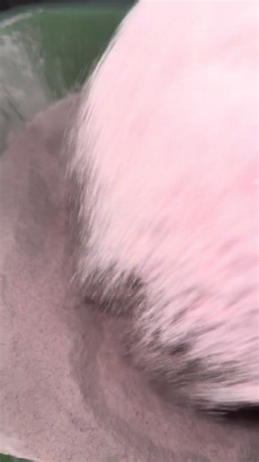 Exploring ASMR with Dust and Powder Sounds