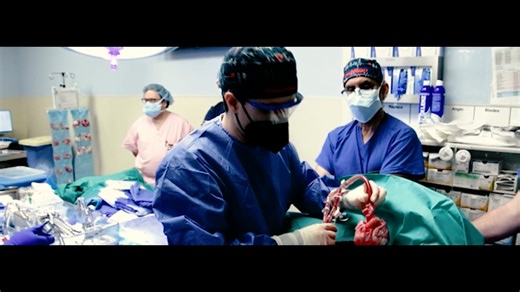 Swine Heart Documentary