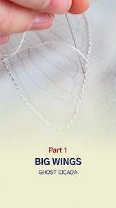 65K views · 777 reactions | Creating the outline of the large wing. Normally, I use a tambour hook to go over the wire, but this time, I decided to try a cross pattern on the wire with a hint of gold. #wings #insects #needlework | Alexandrina Dordea | Facebook