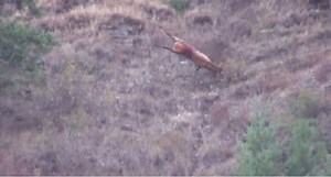 Get Ready for Next Season With the Ultimate Kill Shot Mashup