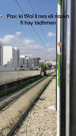 Exploring Traditional Tunisian Cuisine: Flavors, Dishes, and Culture