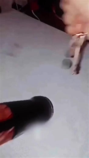 Performance-driven tools for real professionals. #SalonSuppliesUK #barbershop #beautysalon | Combined Salon Supplies