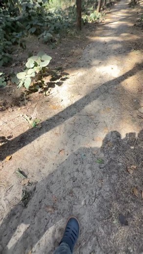 Shibaji Paul on Instagram: "Purulia O2 Zone Contact: 8478000800, 9433150918"