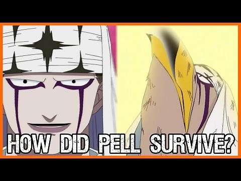 How Did Pell Survive The Explosion? One Piece Theory | Tekking101