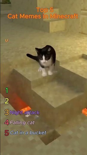 Top 5 Minecraft Cat Memes