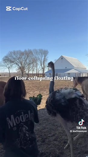 @LEX im so sorry lex toenail was the best☹️#toenail🕊 #riptoenail #lexandtoenail #fyp #fyppppppppppppppppppppppp