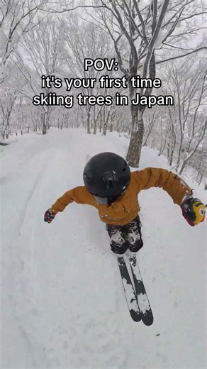 First time Tree Skiing in Japan 😍