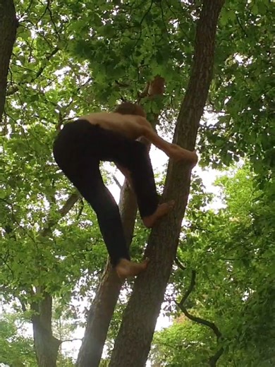 #primalparkour #primalmovement #climbing #barefoot #ape | Primal