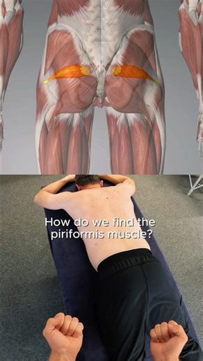 How to find Piriformis 🤔 💪🏻 📍 Anatomy & Palpation