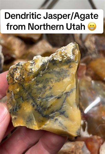 I love the patterns this jasper/agate makes, those dendrites and druzy sure are cool! #agate #jasper #rockhound #geology #dendriticagate