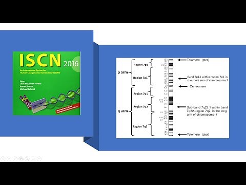 International System for Human Cytogenetic Nomenclature (ISCN)-Part 2 Chromosome Nomenclature Rules