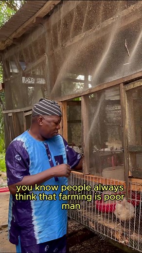 From Europe to Nigeria: A Million-Dollar Farming Secret Revealed