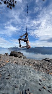 894 reactions · 36 shares | Spring break, with a twist.  Easily add dynamic transitions in Premiere Elements 2025. | Adobe Photoshop Elements & Premiere Elements | Facebook