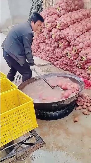 potato cleaning process fast & efficient method for spotless potatoes