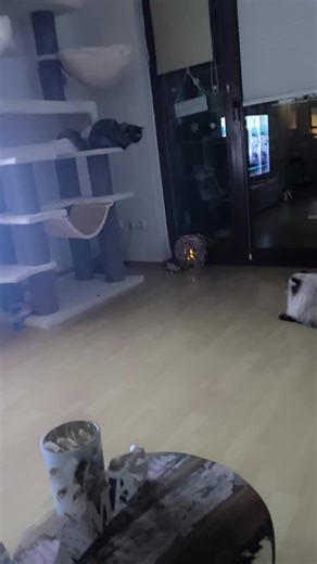 Bibi blocksberg (@bibiblocks)’s videos with Originalton - Bibi blocksberg