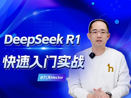 DeepSeek R1 API调用实战！DeepSeek R1模型参数详解与模型功能介绍｜自动编程、自动机器学习项目入门实战