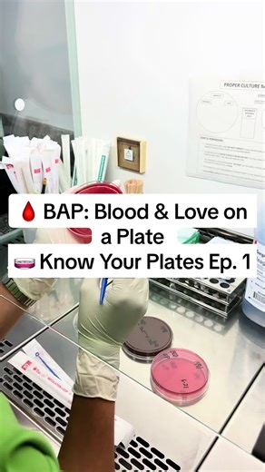 BAP: Blood & Love on a Plate for Microbiology Students