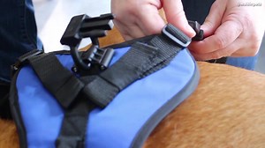 Are you ready to give your pet a new lease on life? Find the best priced wheelchairs, supports and products right here. | Walkin' Pets