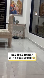 Dad: I got this. Spider: “No, you don’t.” 🕷️💥 | Dad Jokes