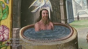 44K views · 1K reactions | SPLENDOR SOLIS, Harley MS. 3469...