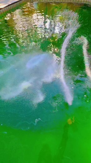 Both the cya and free chlorine are going to be very high. If you made it far enough to ask that question congratulations. Now you get to learn about how rainy climates can play a huge part in maintaining cya levels. We can let the rain help dilute the high cya without having to drain and refill. It's not the solution for every situation. I'm just trying to show y'all there are so many different ways to handle pool problems. 😁 And yes she is a bit cloudy still after 24 hours but just like losing