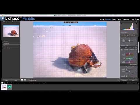 Showing Lightroom's Loupe Grid Overlay