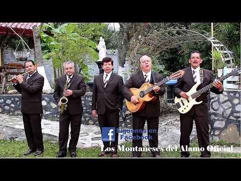 Los Montañeses del Alamo - Paloma Herrante