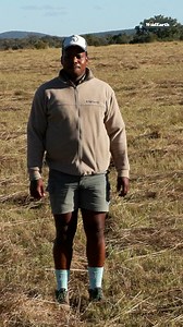 55K views · 1.1K reactions | Behind the wheel of the world’s biggest safari vehicle. Ever wondered how WildEarth gets from the bush to your home? Join the WildEarth crew as we journey through our wild locations, capturing nature’s beauty and racing toward the ultimate finish line, your screen. Climb aboard the biggest safari vehicle in the world… #wildearth #bts #safari #nature #wildlife | Wildearth | Facebook