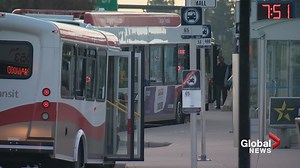 Calgary Transit warns riders of new and modified bus routes