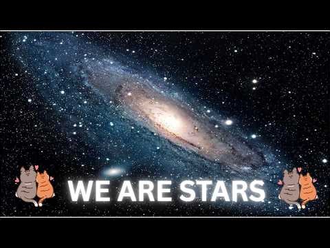 WE ARE STARS