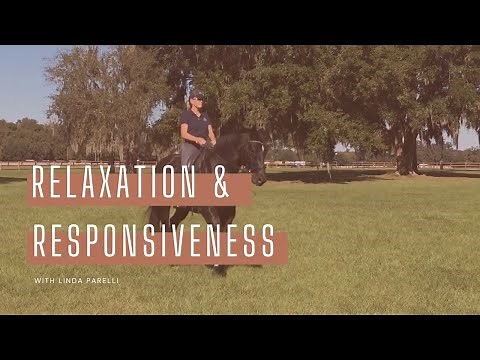 Relaxation and Responsiveness with Linda Parelli || Horse Training