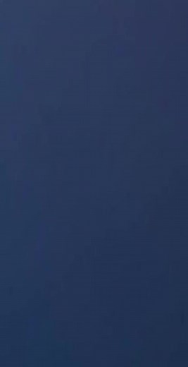 cartoon cat on TikTok