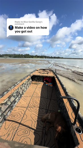 Hammering Progress with Blue Gorilla Gang