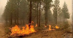 Reducing the Risk of Wildfire