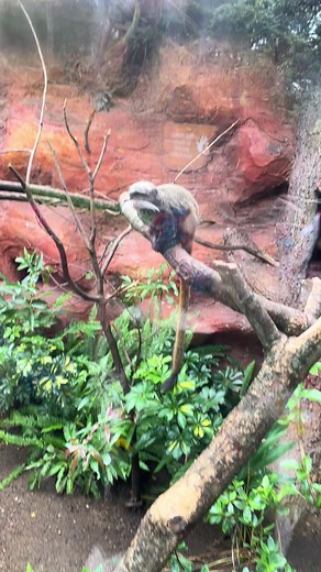 Videos de Don Beto (@_.abac) con “sonido original - Don Beto”