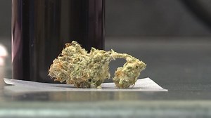 Maine's testing labs worried about influx of recreational marijuana products