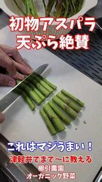 Asparagus tempura feast #Asparagus tempura #Aralia sprout tempura #Pumpkin tempura #Shrimp tempur...
