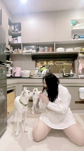 55555 แม่เป็นอะไย #หมา #รักหมา #เก็บหมามาเลี้ยง #รักหมาจัง #muenfun #dog #ตลก | เหมือนฝัน น้อยไขขำ
