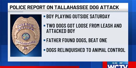 Police report on Tallahassee dog attack