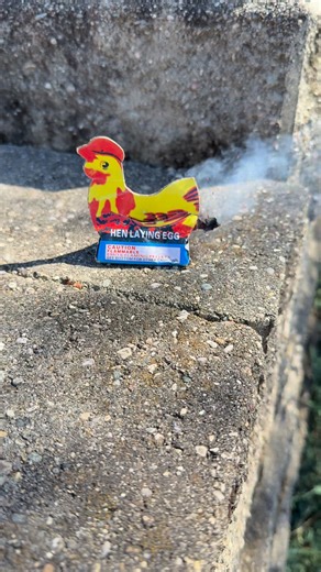 9.8K views · 15 reactions | She did not lay one egg | Jason Smith | Facebook