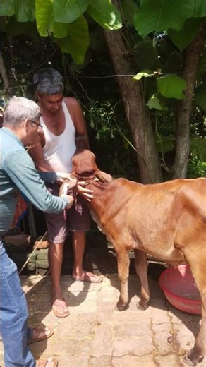 Baif A.I Baff is a very good practitioner.