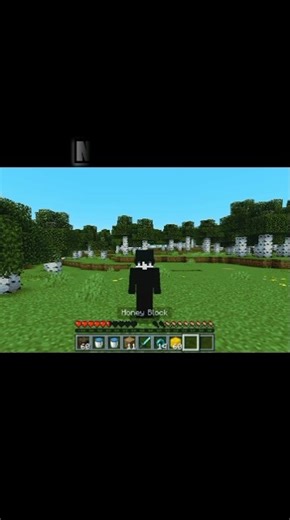 minecraft no mod hack warrior rudra !