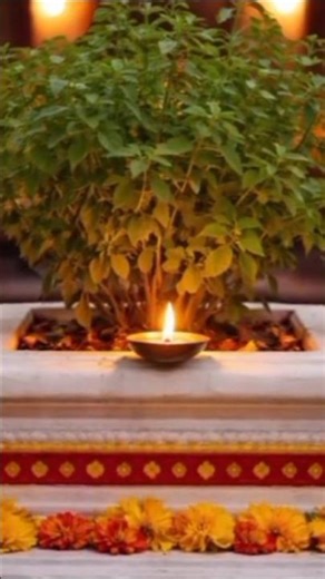 🥀 Light a lamp in Tulsi in the evening ✅💯#ytshorts #tulsiupay #astrology #vaastu