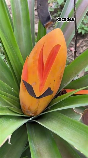ripe papaya asmr #bamboo1 #fruitchopping #asmrtriggers #satisfying #fruitslicing #cuttingskills